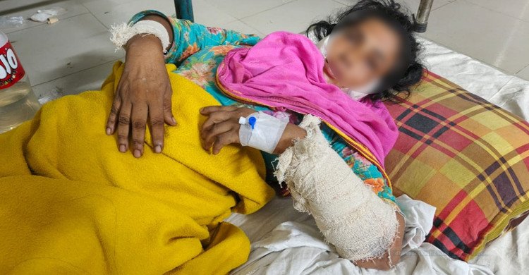 নওগাঁয় নারীকে এলোপাতাড়ি কুপিয়ে জখম, অভিযোগ বাবা-ছেলের বিরুদ্ধে